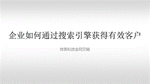 企业如何通过搜索引擎获得有效客户.ppt