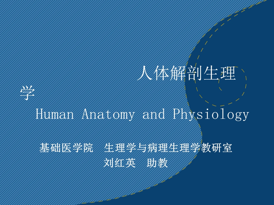 人体解剖生理学-消化系统.ppt_第1页