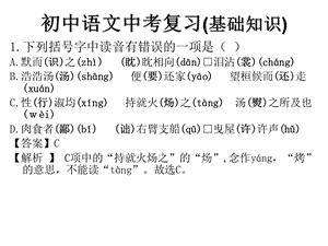 初中语文中考复习(基础知识).ppt