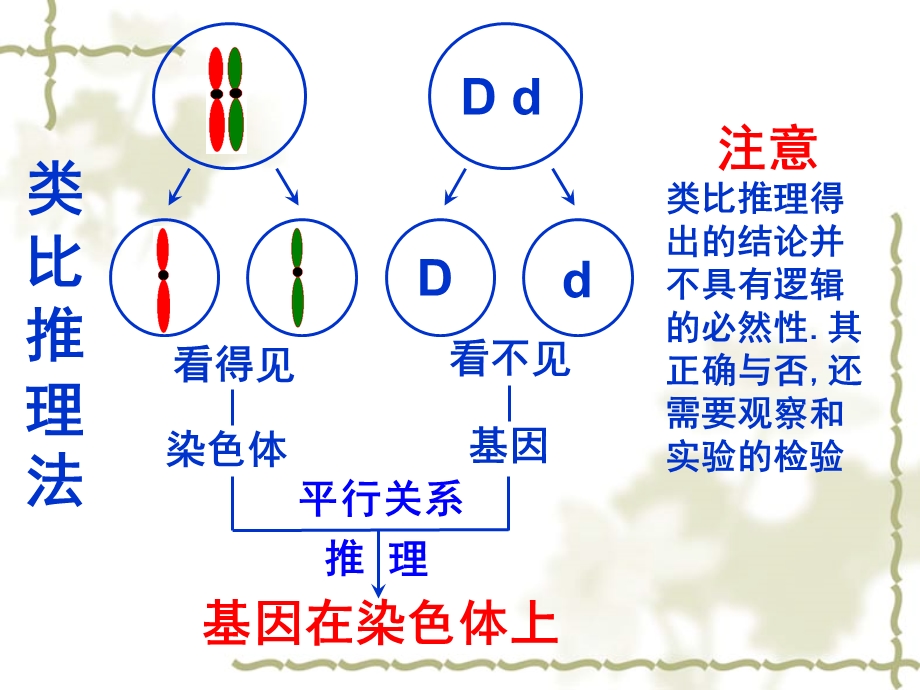 基因在染色体上与伴性遗传.ppt_第3页