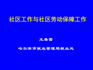 基层劳动保障工作平台建设(大学生培训课件).ppt