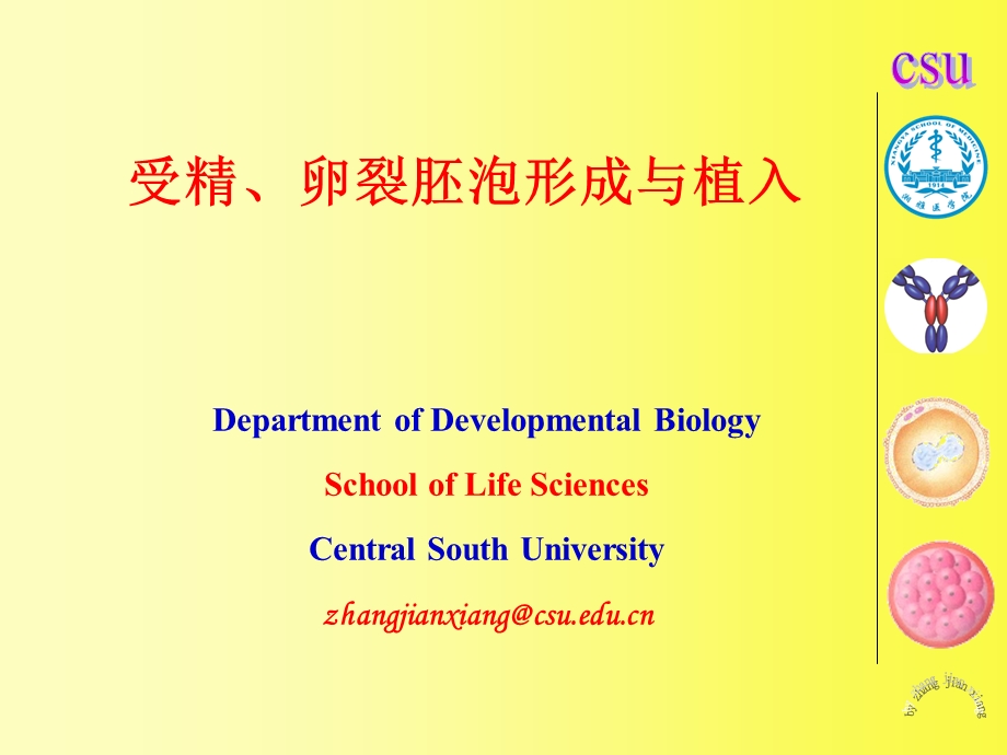 发育生物学教学课件06-1受精、卵裂、胚泡形成与植入.ppt_第1页