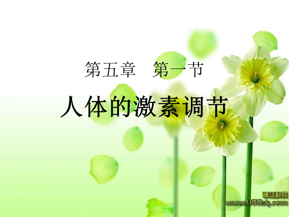 人体的激素调节-七年级下生物-济南版.ppt_第1页