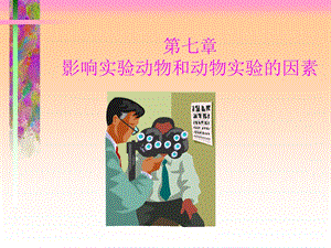 动物实验影响因素.ppt