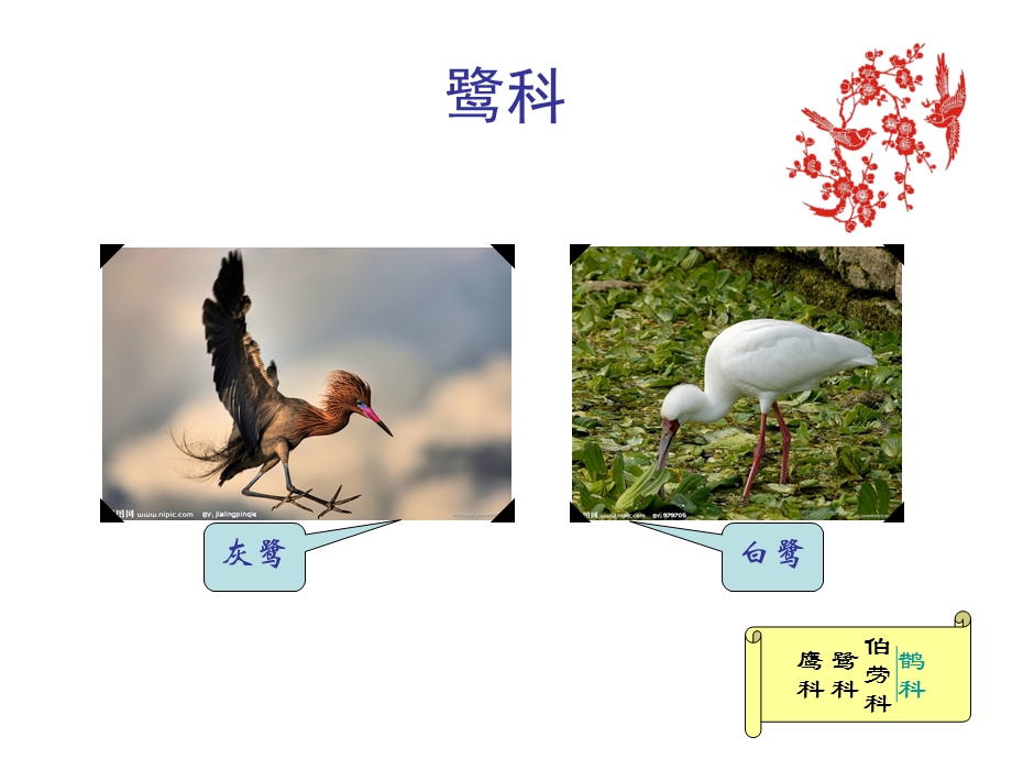 大一上学期计算机课PPT作业.ppt_第3页