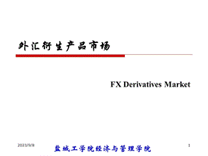 外汇衍生产品市场.ppt