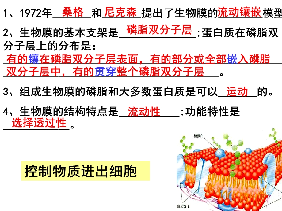 人教版高一生物必修一4.3物质跨膜运输的方式.ppt_第1页