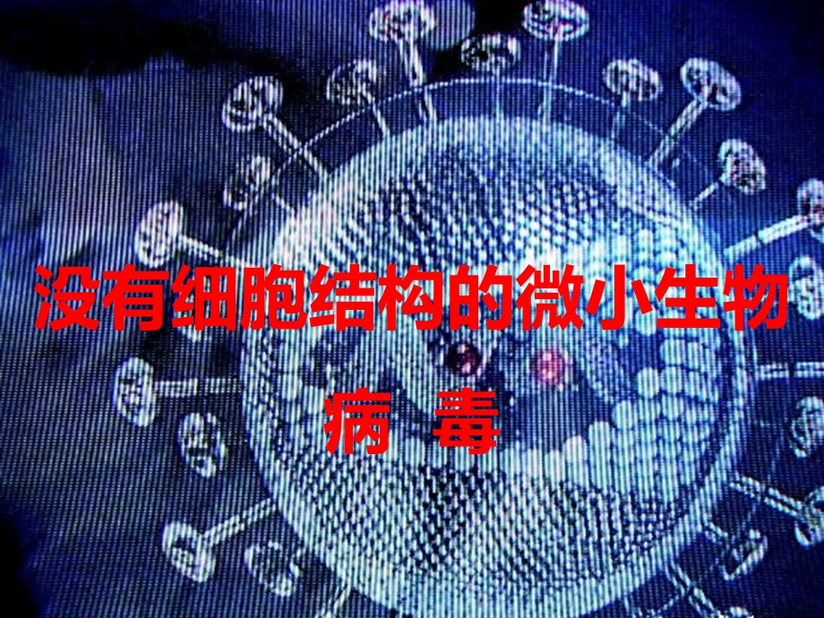 人教版初中生物课件《病毒》.ppt_第2页