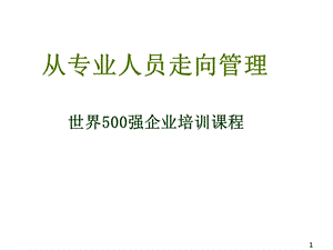 培训课程：从专业人员走向管理.ppt