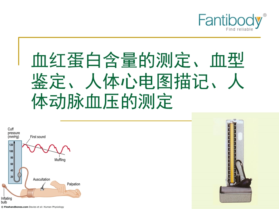 图解人体血型鉴定、心电图描记、动脉血压测定等课题.ppt_第1页