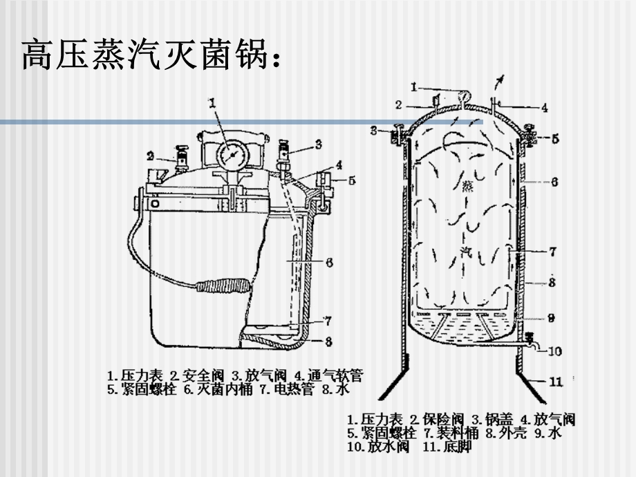 实验一微生物实验基本仪器的使用.ppt_第3页