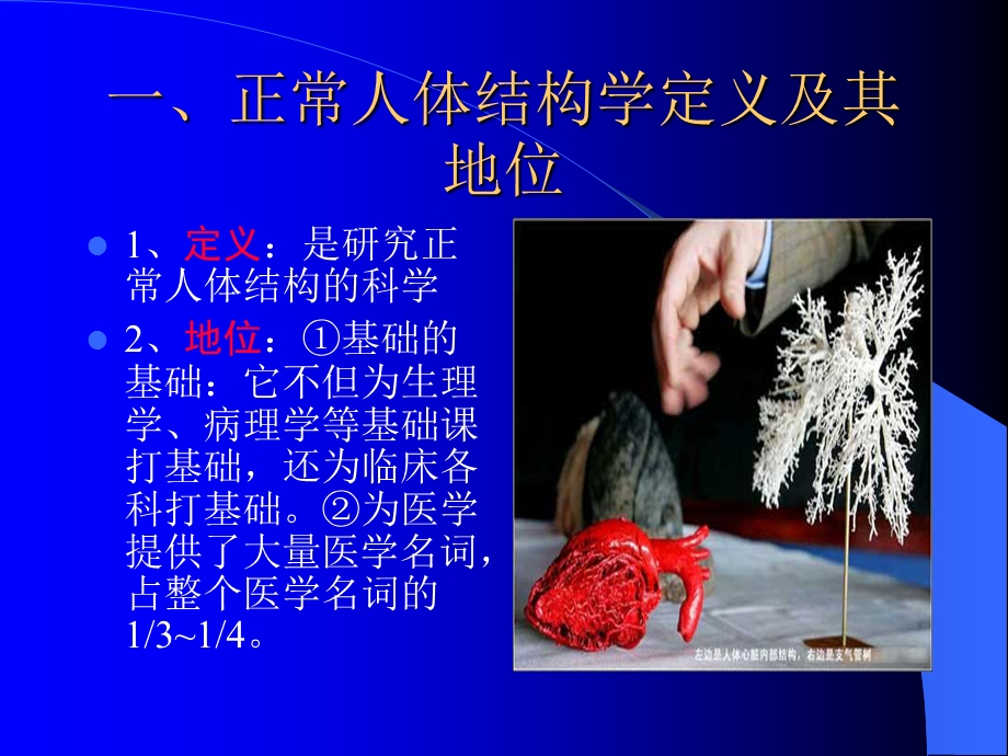 人体解剖学绪论细胞.ppt_第3页