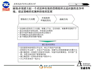 安盛—丽珠企业战略报告.ppt