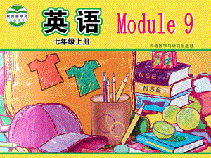 外研版初中英语七年级上册Module9Unit3Languageinu.ppt