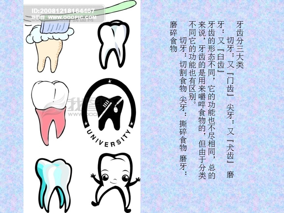 健康教育课件牙齿的保护PPT.ppt_第2页