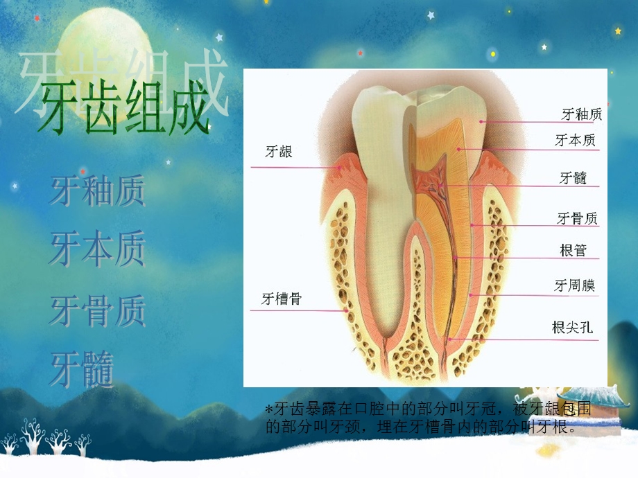 健康教育课件牙齿的保护PPT.ppt_第3页