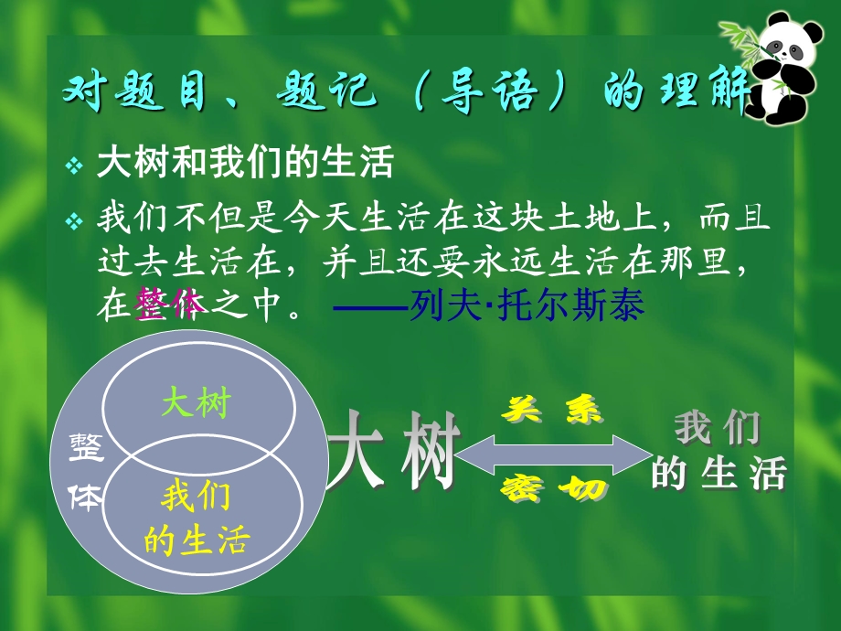 大树和我们的生活.ppt_第3页