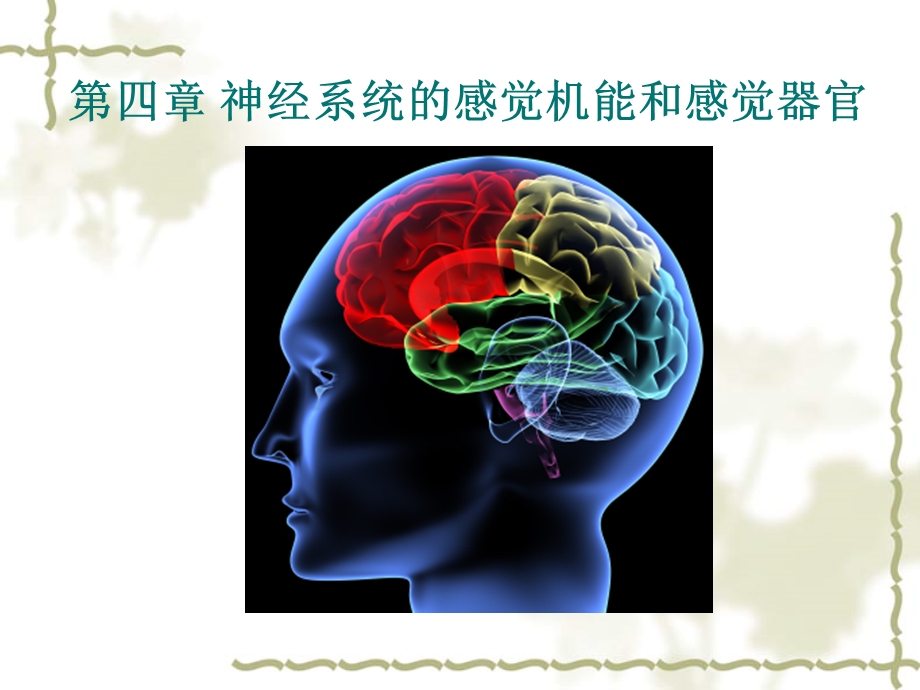 动物生理学ppt课件第9章感觉机能和感觉器官.ppt_第1页