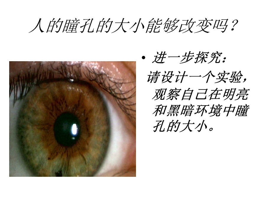 健康教育课件人体对外界的感觉眼和视觉.ppt_第2页