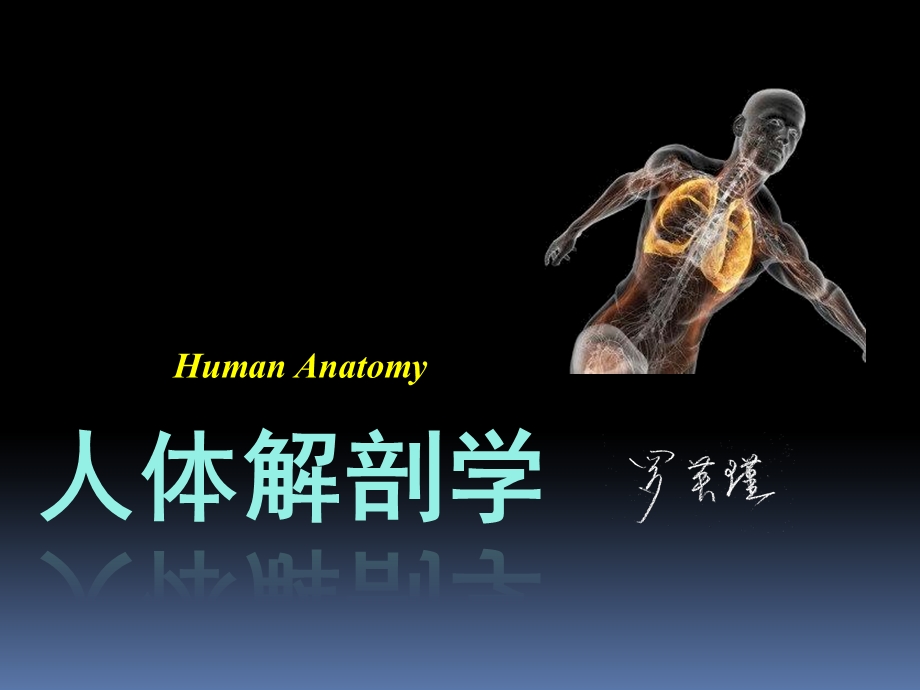 罗英瑾0001解剖学绪论.ppt_第1页