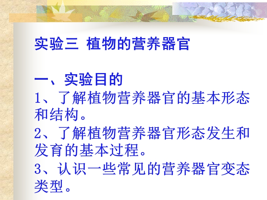 实验三植物的营养器官.ppt_第1页