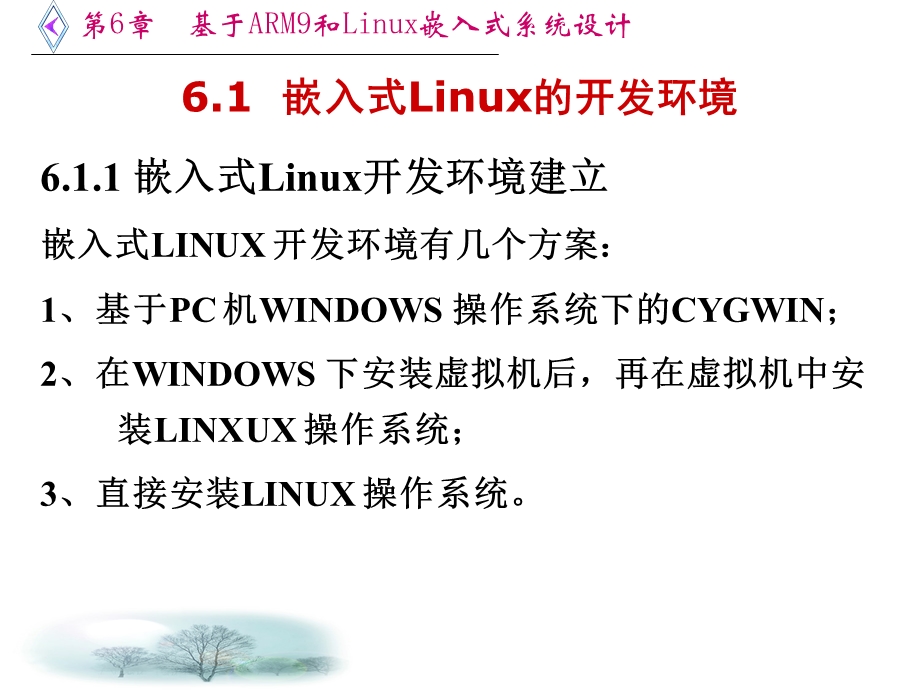 基于ARM9和Linux嵌入式系统设计.ppt_第2页