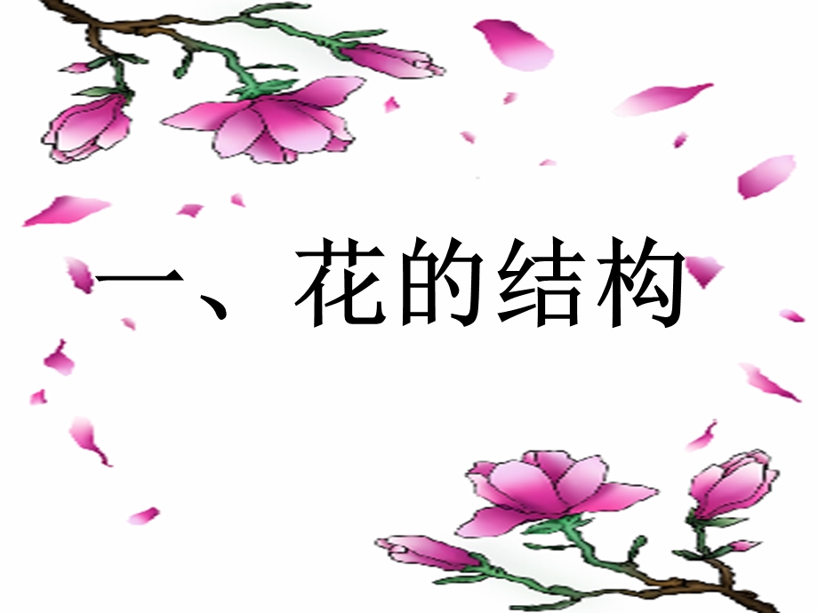 初中生物《植物的开花和结果》.ppt_第2页