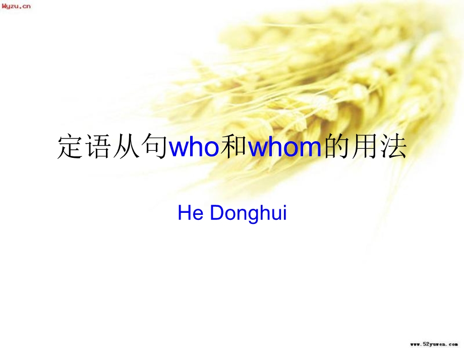 定语从句who和whom的区别.ppt_第1页