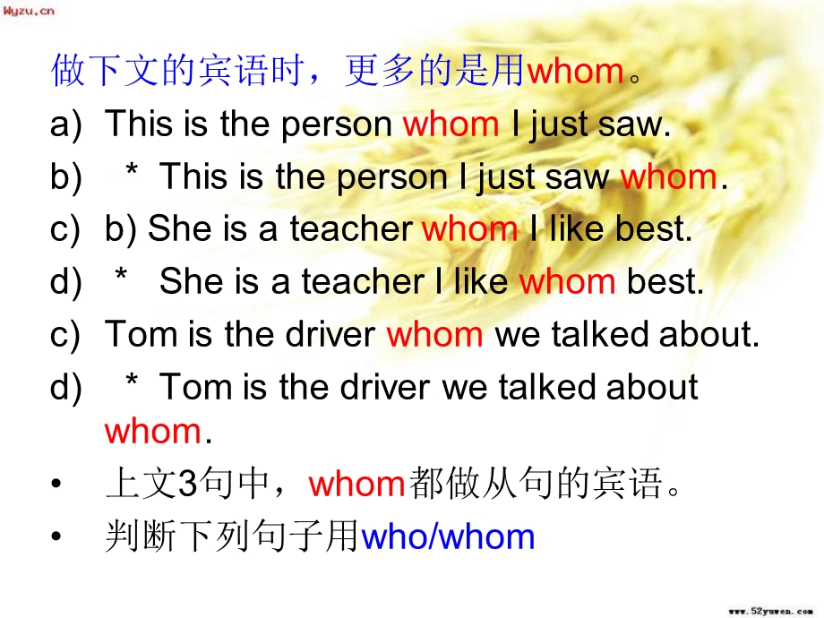 定语从句who和whom的区别.ppt_第3页