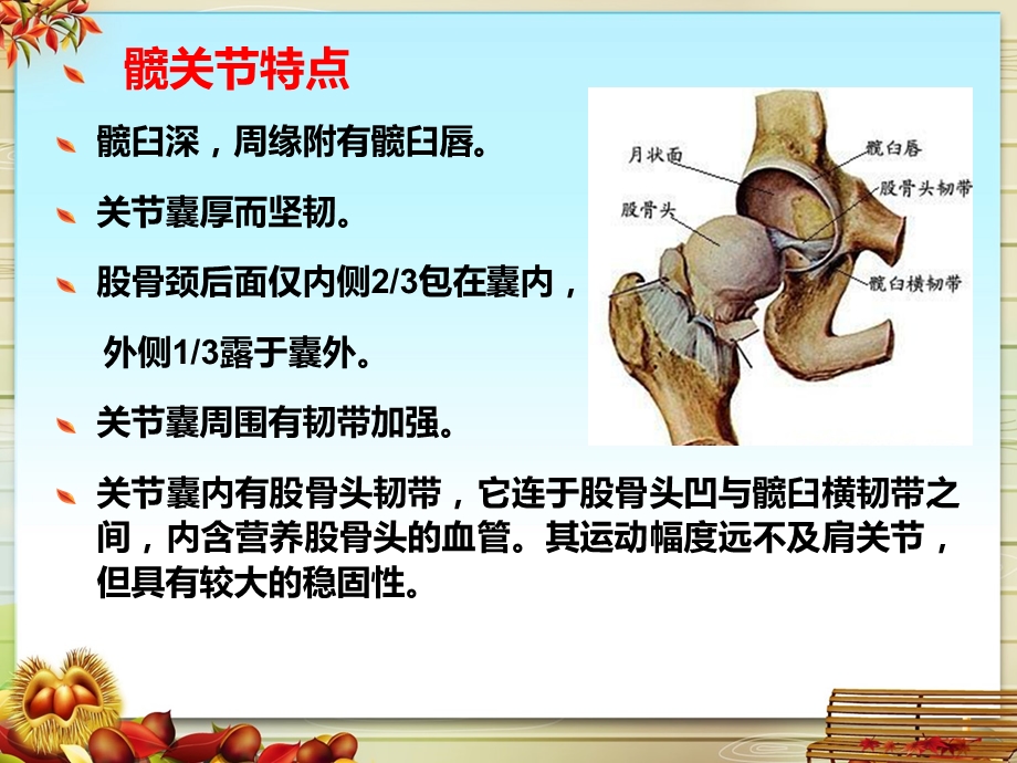 全髋关节置换术后护理.ppt_第3页