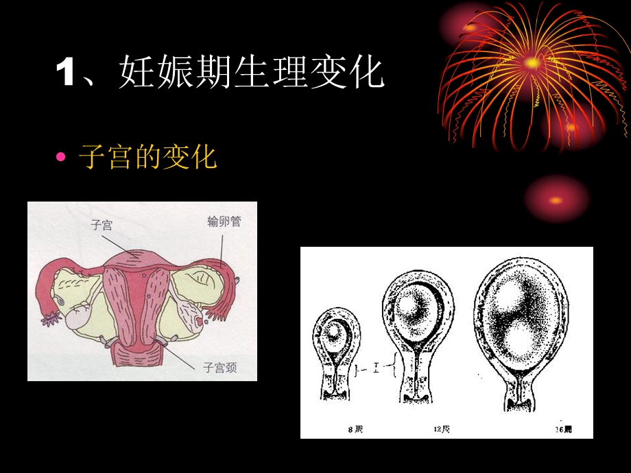 妊娠期及产褥期护理.ppt_第3页