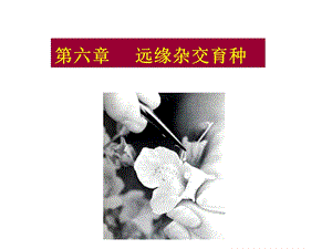 园林植物花卉育种学ppt课件第6章远缘杂交育种.ppt