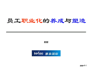 员工职业化的养成与塑造.ppt