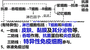 人体的内环境与稳态6-免疫调节.ppt