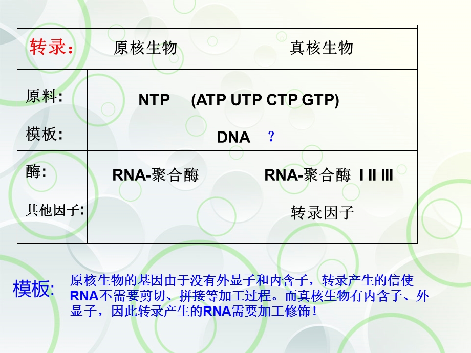 原核生物真核生物基因表达比较.ppt_第2页