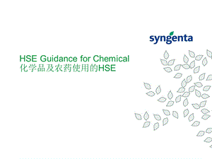 化学品及农药使用的HSE.ppt