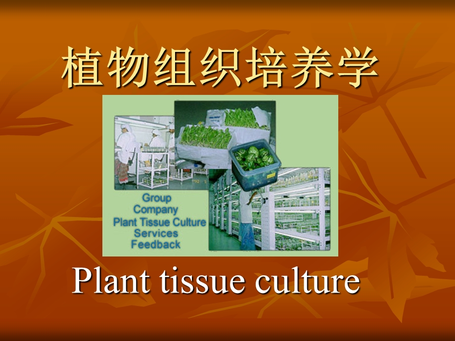 植物组织培养学概论修改中.ppt_第1页