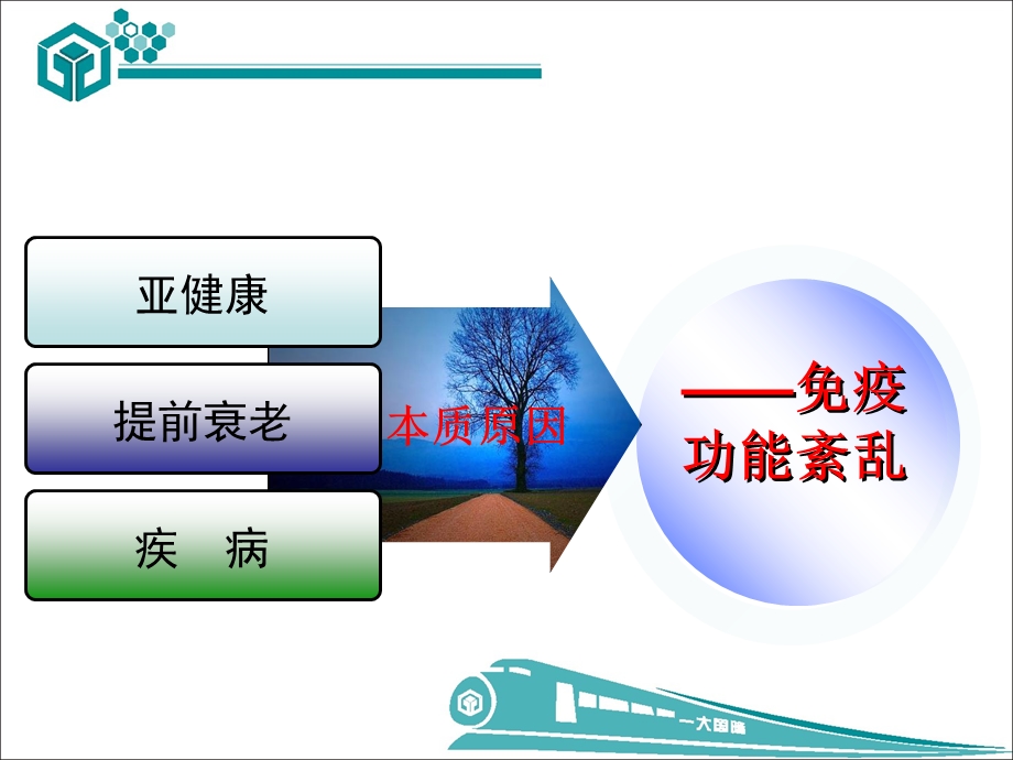 免疫金藻富康(统一版).ppt_第2页