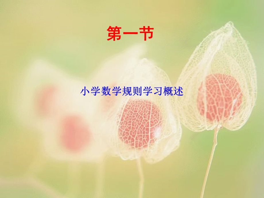 小学数学的规则学习.ppt_第3页