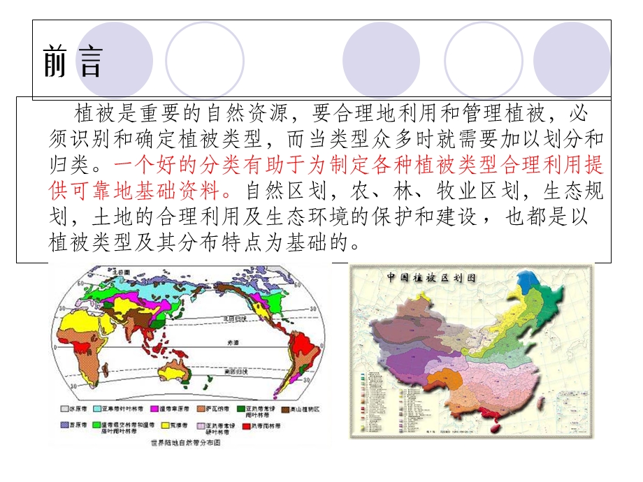 植物分类及主要类型.ppt_第3页