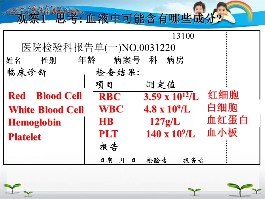 流动的组织 血液.ppt_第3页