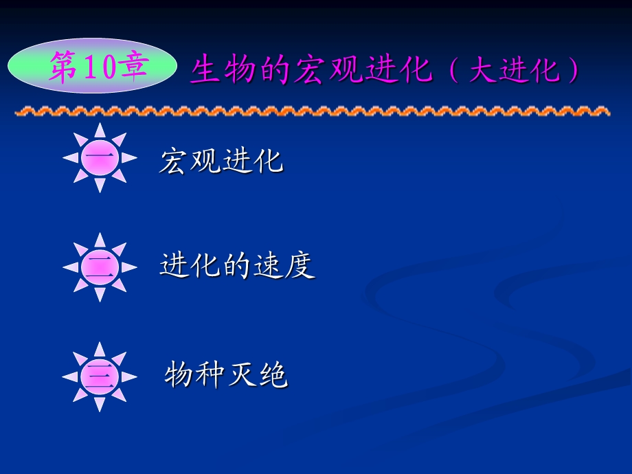 生物的宏观进化.ppt_第1页