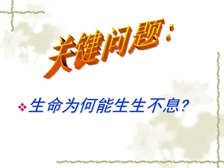 生殖和生命的延续.ppt_第1页