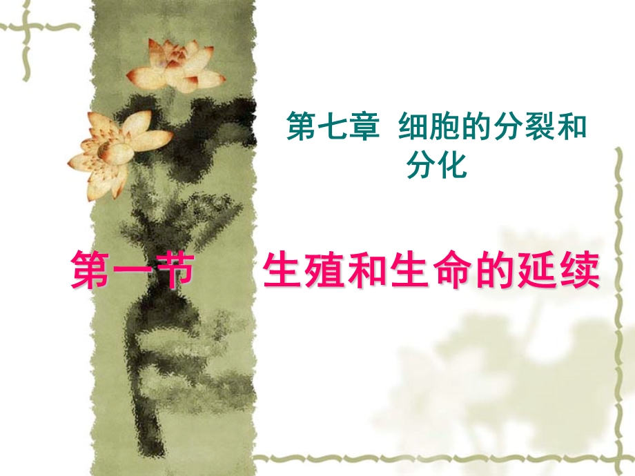 生殖和生命的延续.ppt_第2页