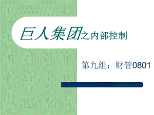 巨人集团案例分析之内部控制.ppt