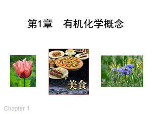 有机化学高占先.ppt