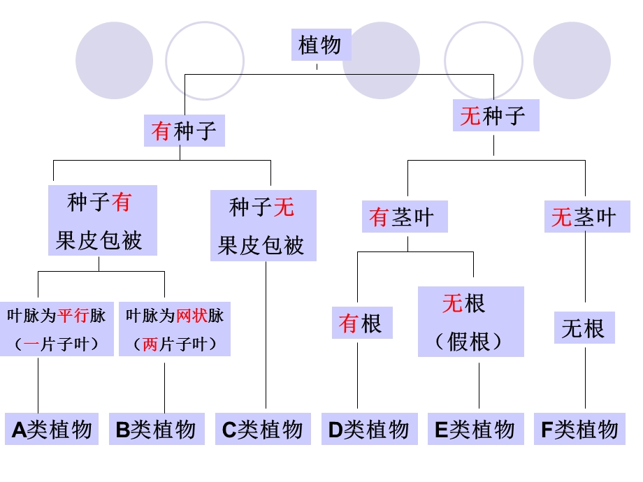 生物根据生物的特征进行分类.ppt_第3页