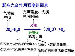 影响光合作用的因素及应用.ppt