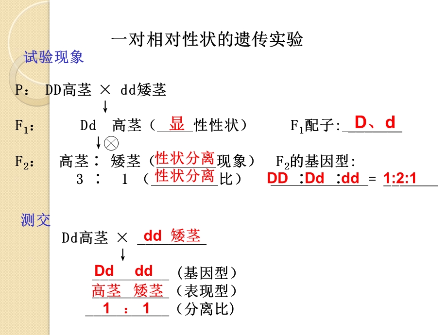 生物必修2精要知识点列单-遗传与进化(附答案).ppt_第2页