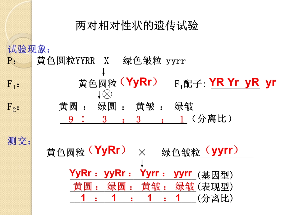 生物必修2精要知识点列单-遗传与进化(附答案).ppt_第3页